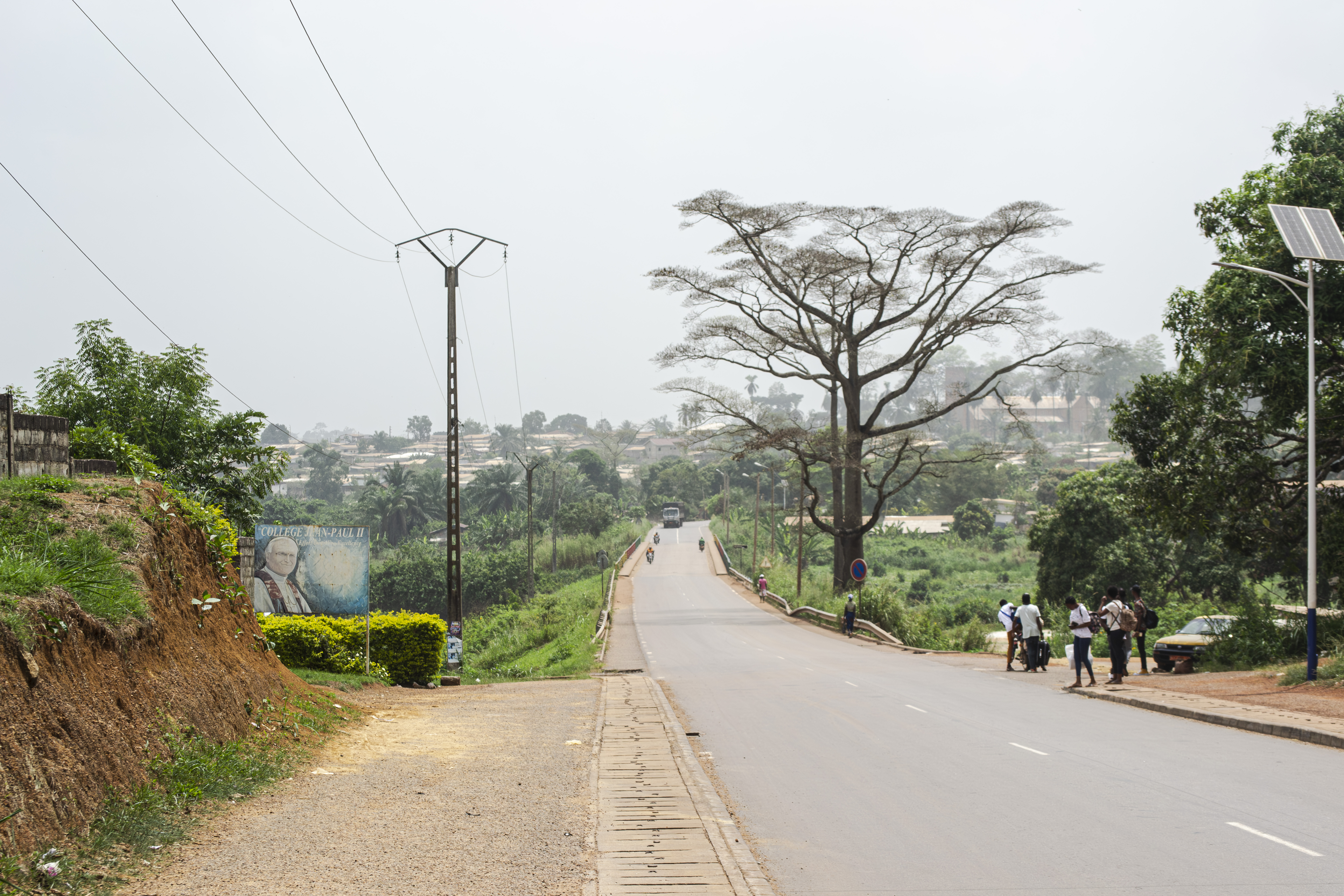 Presque vide rue à le Oyack quartier avec un grand arbre à le town de Mbalmayo, Cameroun.