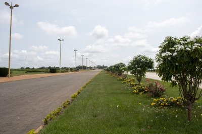 Allée de fleurs à le jardins