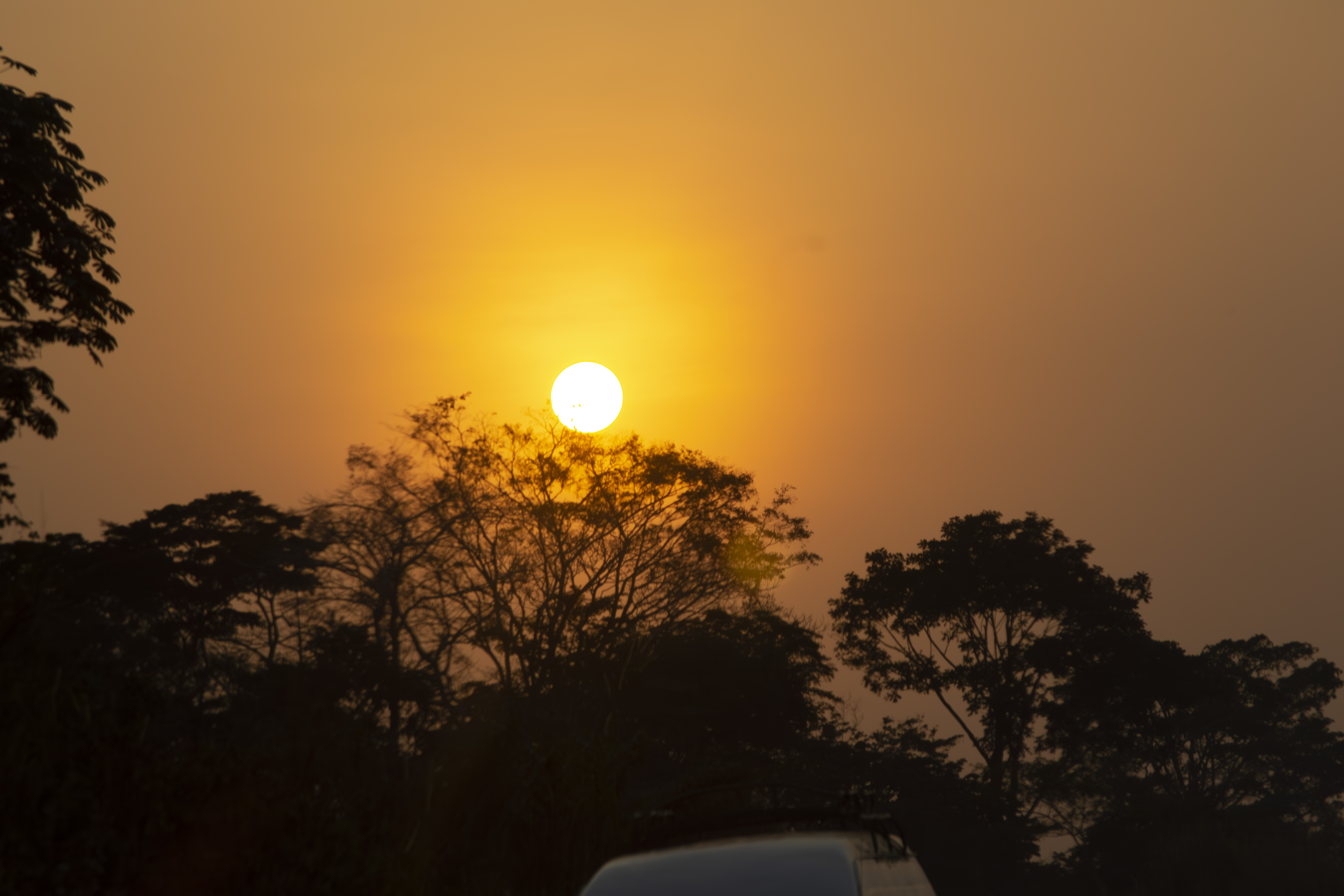 Coucher de soleil orangé avec tree silhouettes à yaounde 03