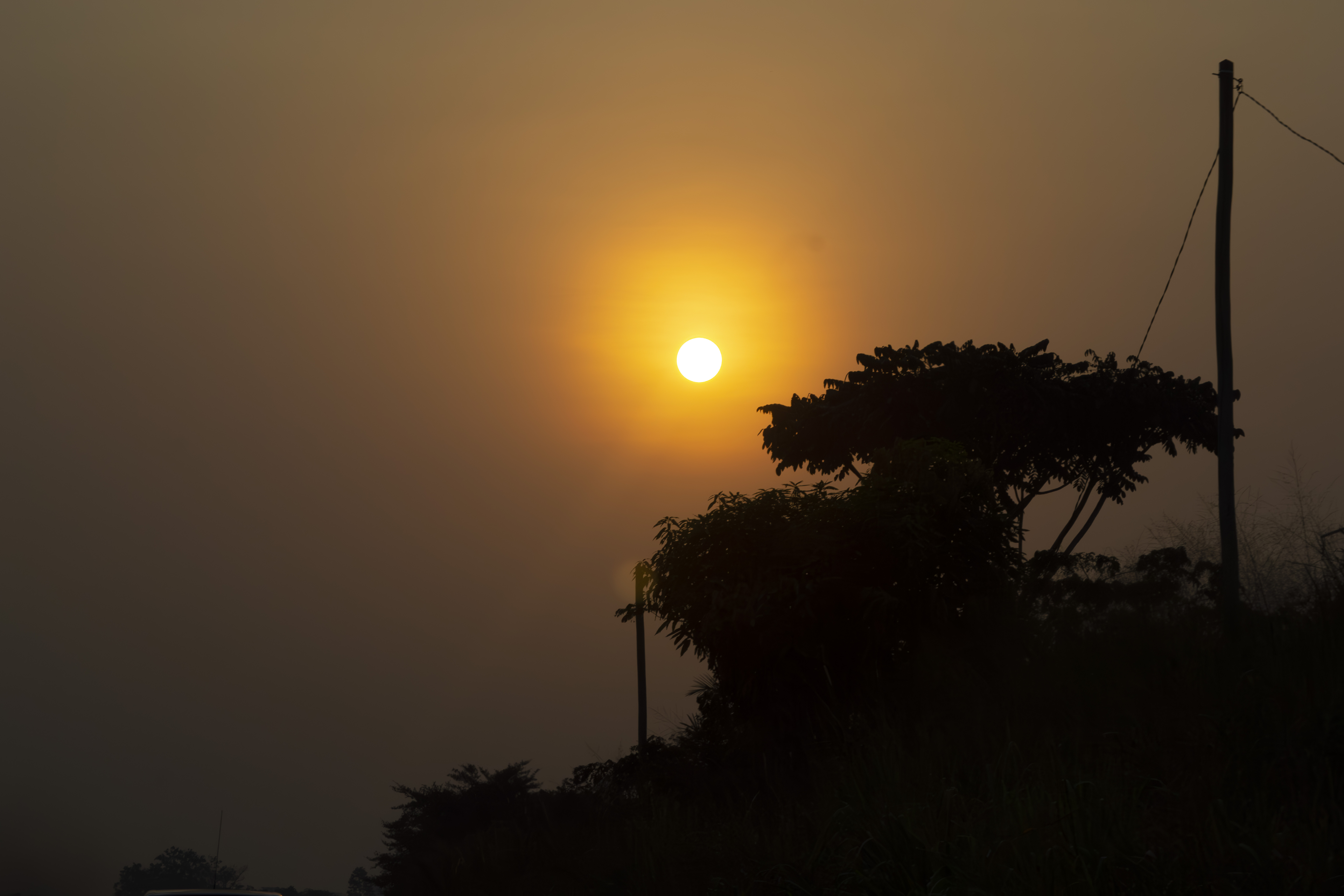 Coucher de soleil orangé avec tree silhouettes à yaounde 05