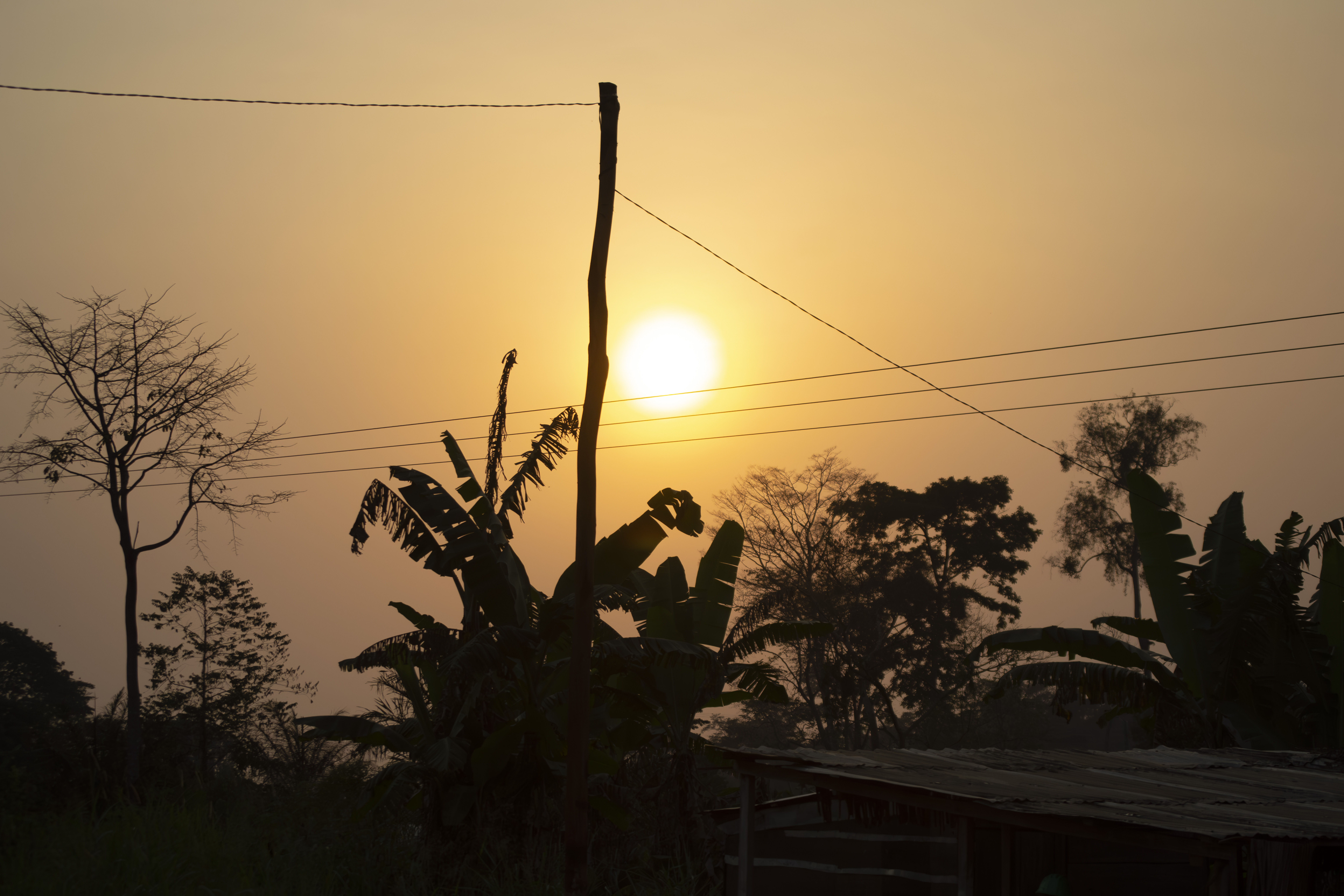 Coucher de soleil orangé avec tree silhouettes à yaounde 06