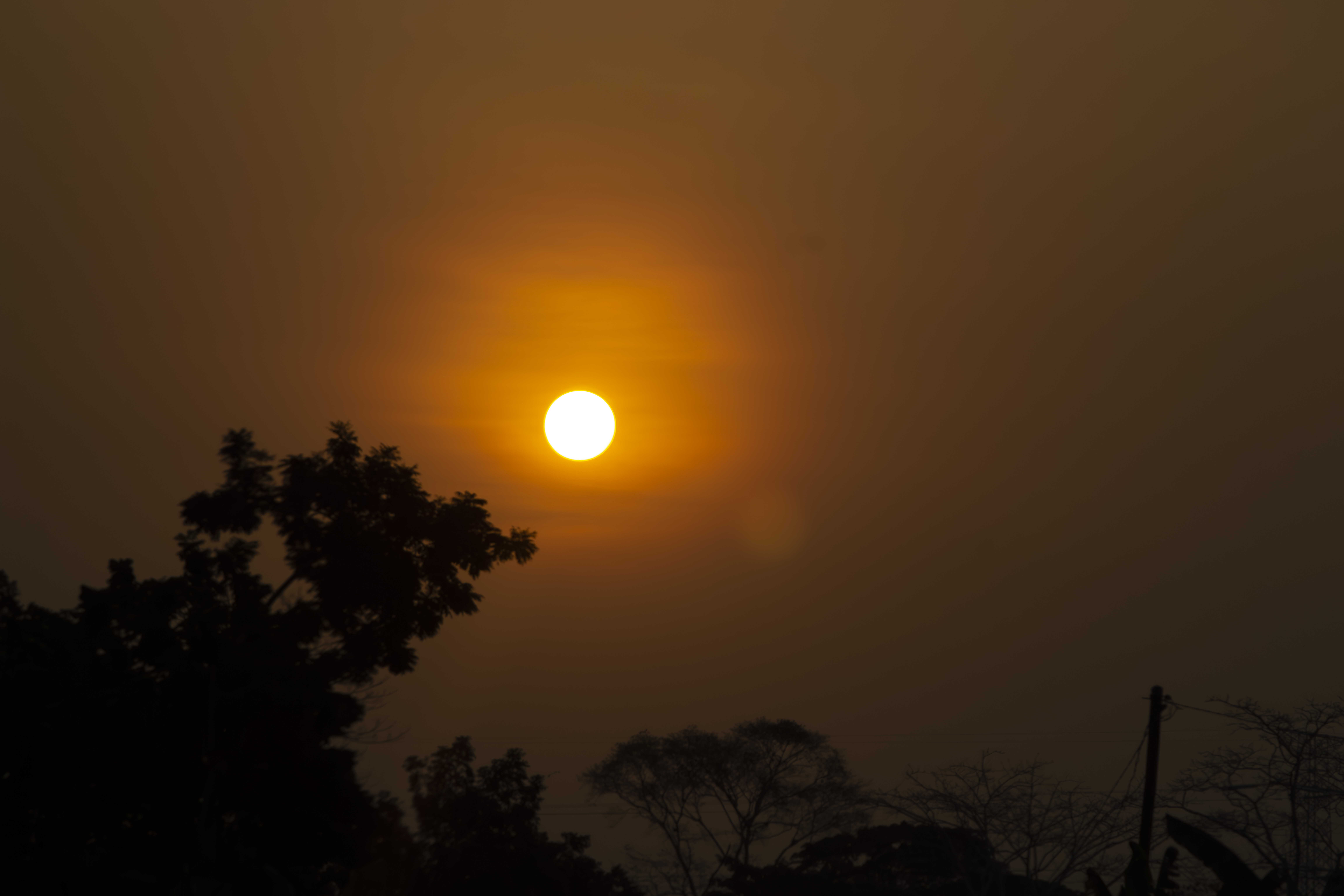 Coucher de soleil orangé avec tree silhouettes à yaounde 07