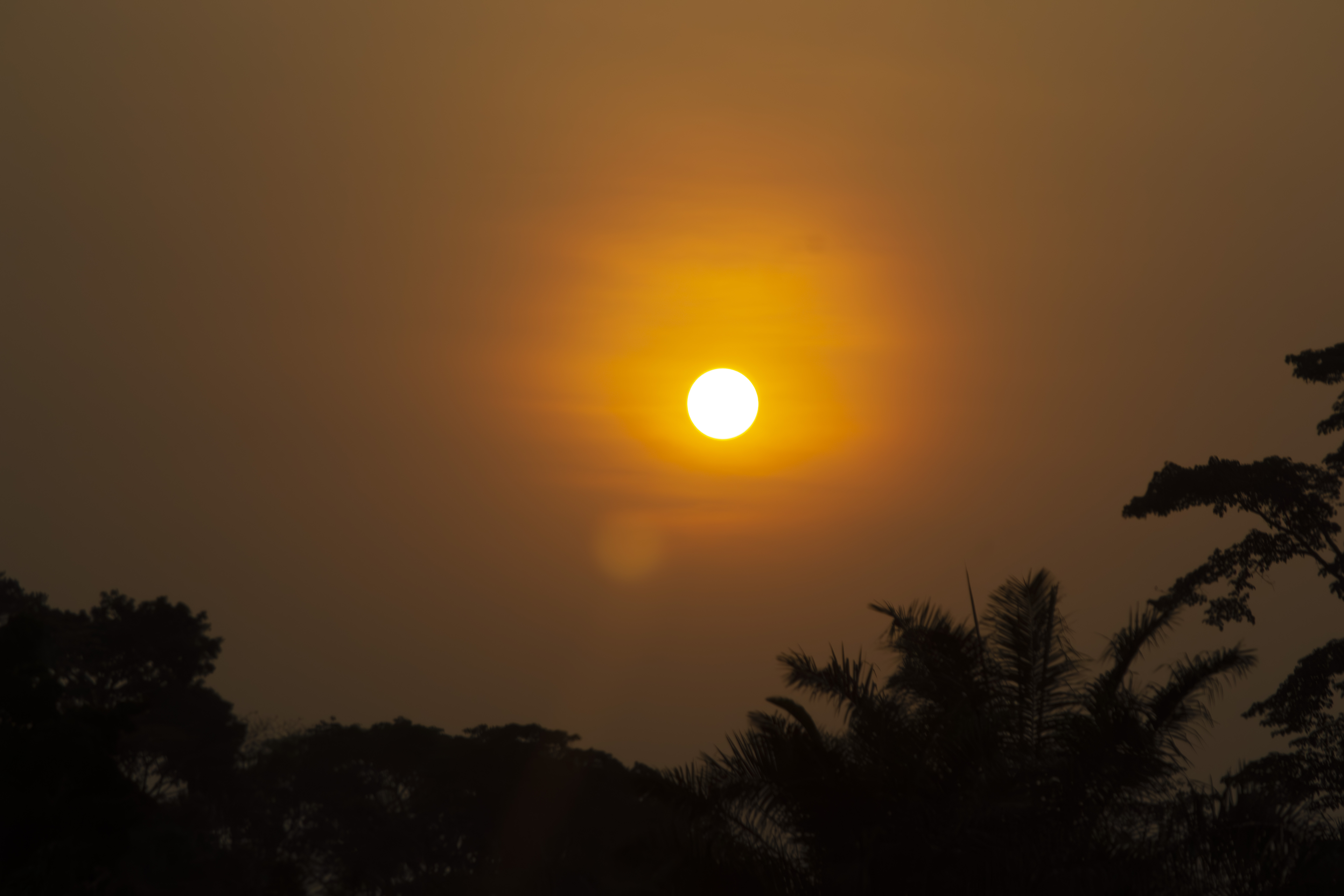 Coucher de soleil orangé avec tree silhouettes à yaounde 09