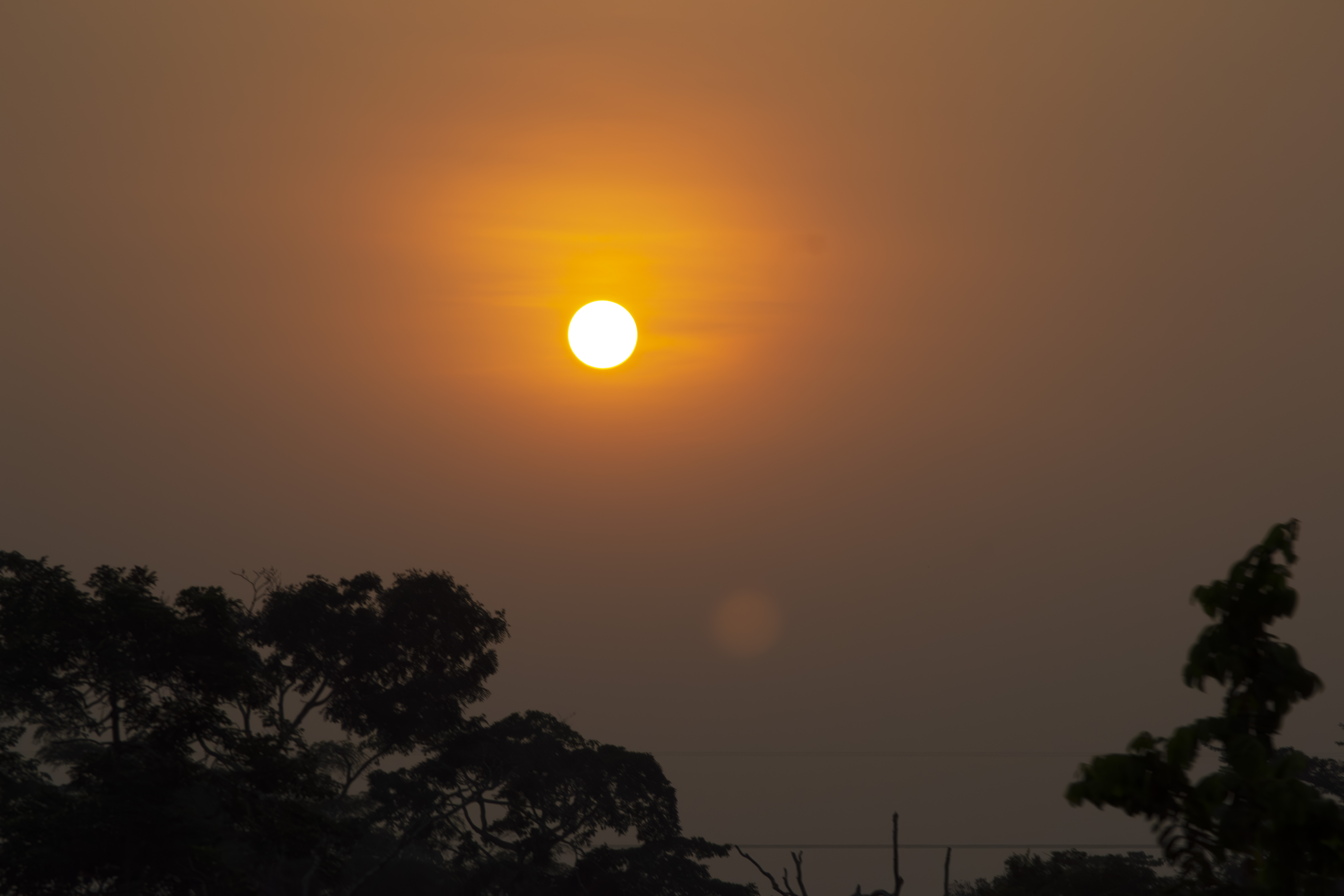 Coucher de soleil orangé avec tree silhouettes à yaounde 12