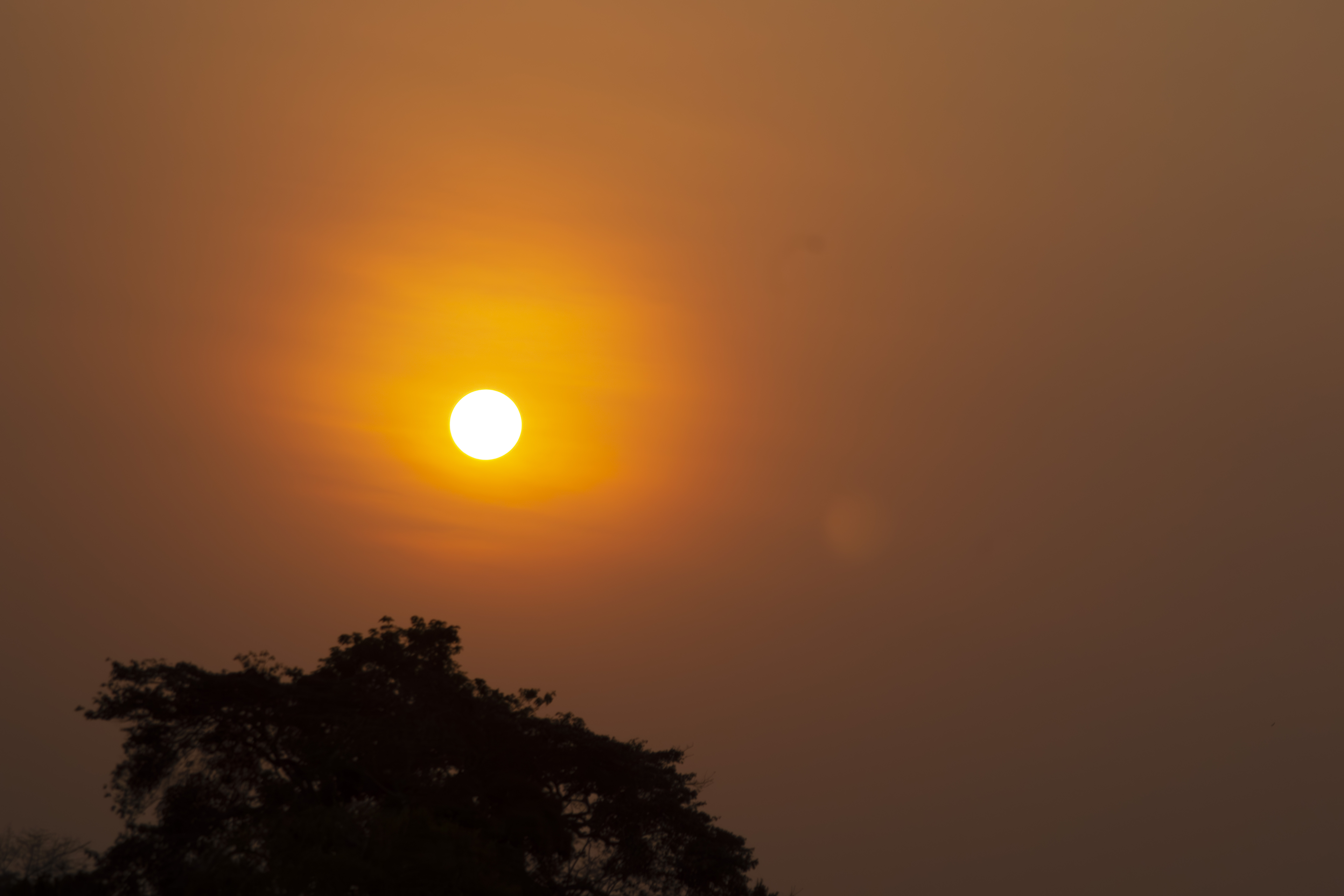 Coucher de soleil orangé avec tree silhouettes à yaounde 13