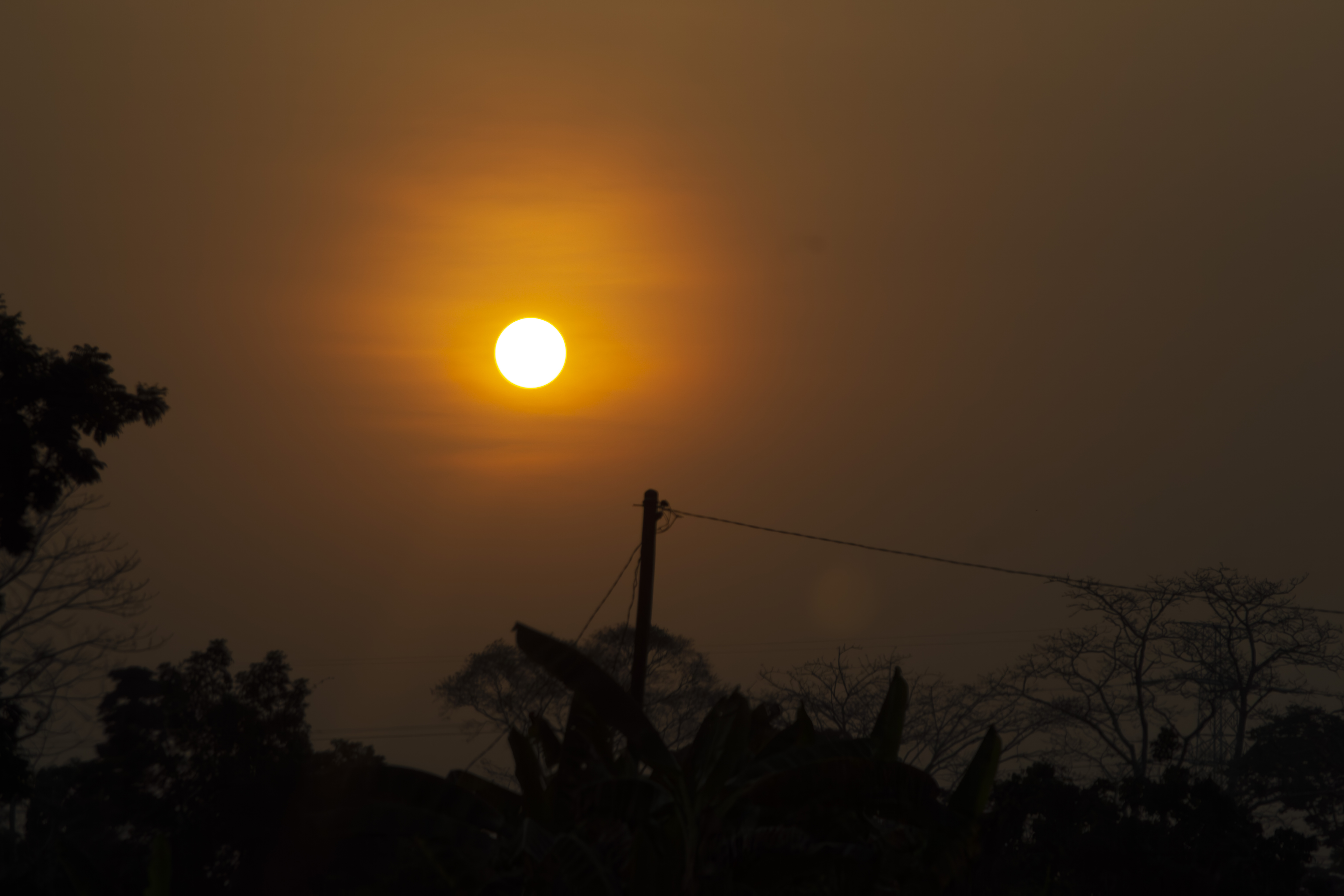 Coucher de soleil orangé avec tree silhouettes à yaounde 14