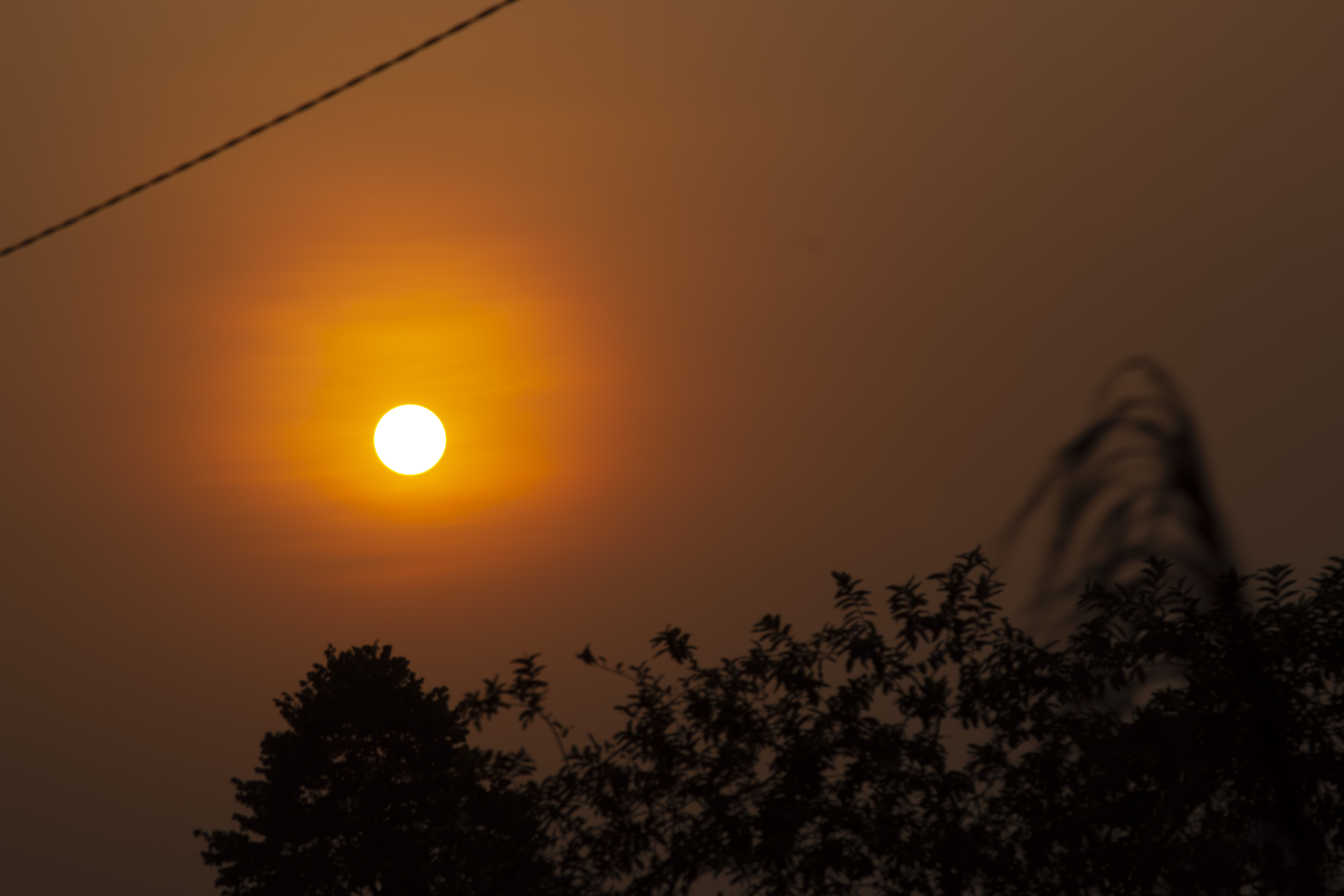 Coucher de soleil orangé avec tree silhouettes à yaounde 16