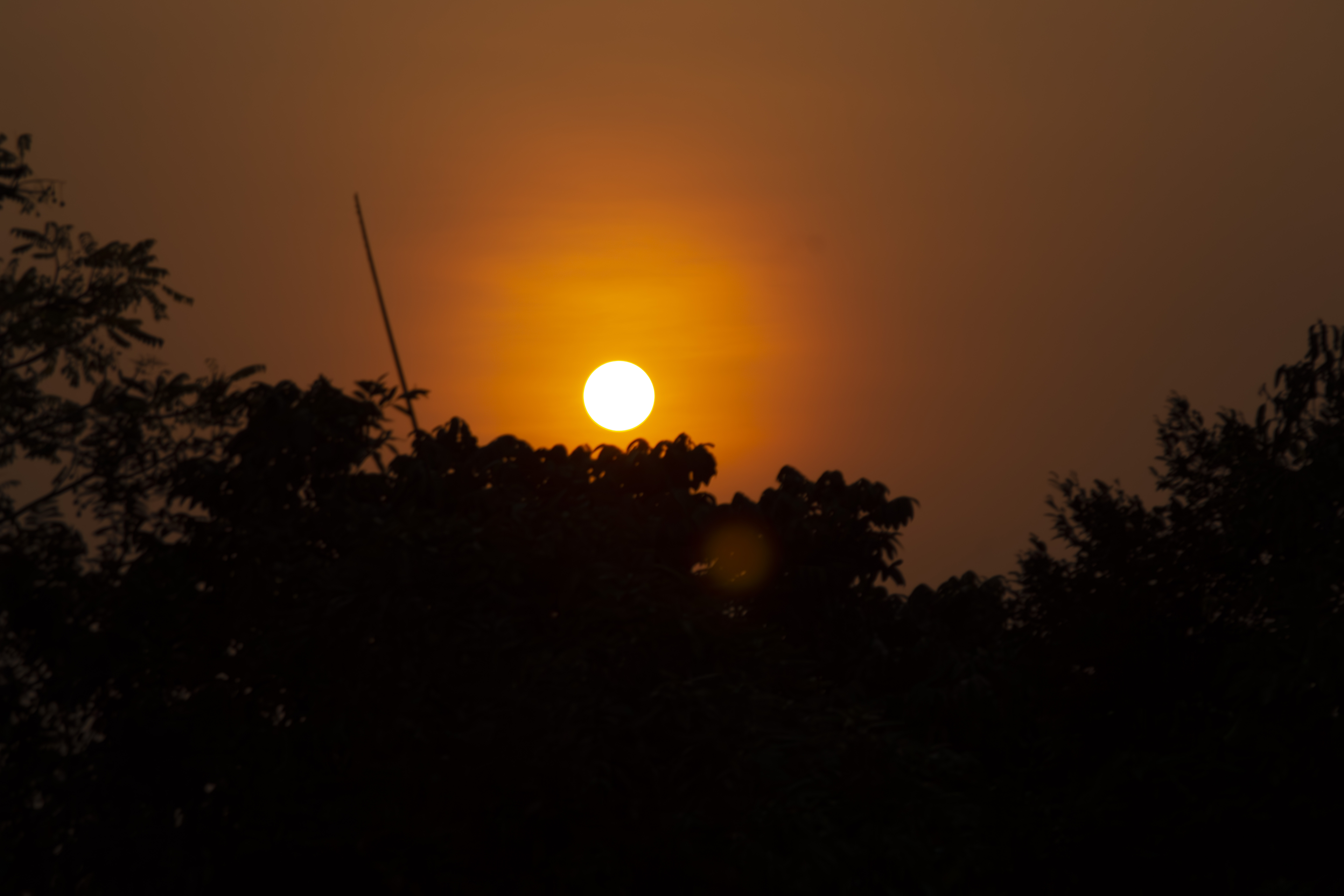 Coucher de soleil orangé avec tree silhouettes à yaounde 17