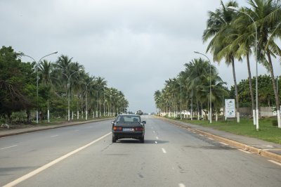 Bordé de palmiers chemin sur un rue à Yamoussoukro, Côte d'Ivoire