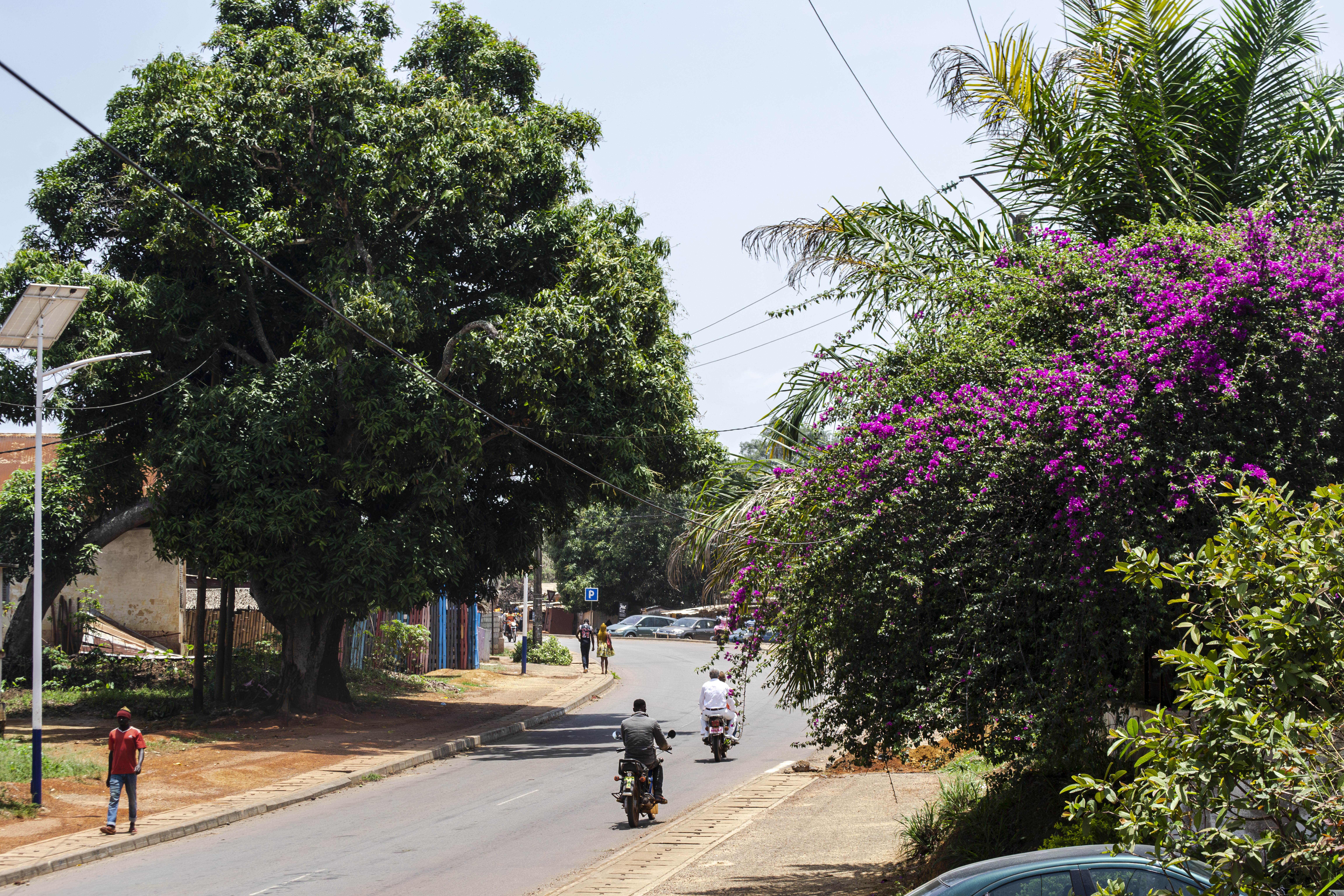 Rue à le Oyack 1 quartier de Mbalmayo, Cameroun