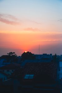 Beau coucher de soleil sous un ciel bleu avec silhouetted trees
