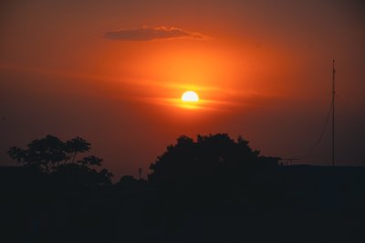 Beau coucher de soleil avec silhouette de trees 01