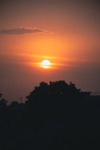 Beau coucher de soleil avec silhouette de trees 02