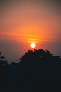 Beau coucher de soleil avec silhouette de trees sur Abidjan 02