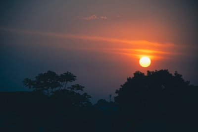 Beau coucher de soleil avec silhouette de trees sur Abidjan