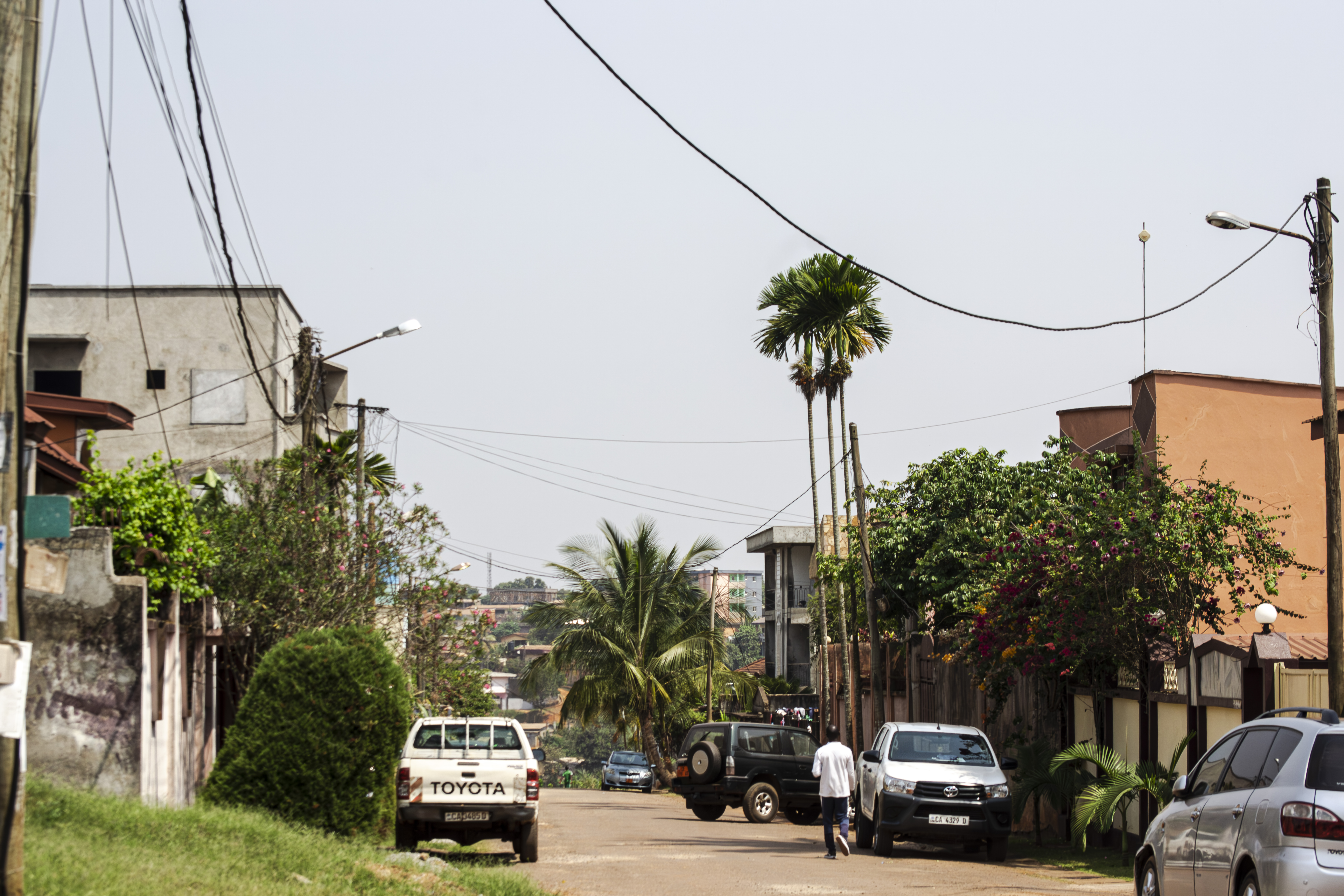 Rue vide avec véhicules garés sur le sides