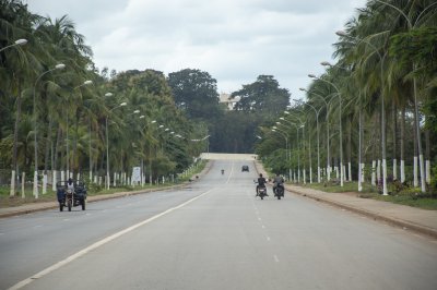 Large Bordé de palmiers road à le city de Yamoussoukro à Côte d'Ivoire