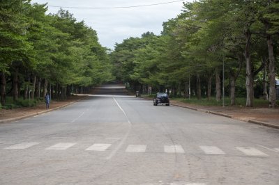 Large rue à le ombrage de le large trees that line it à le city de Yamoussoukro