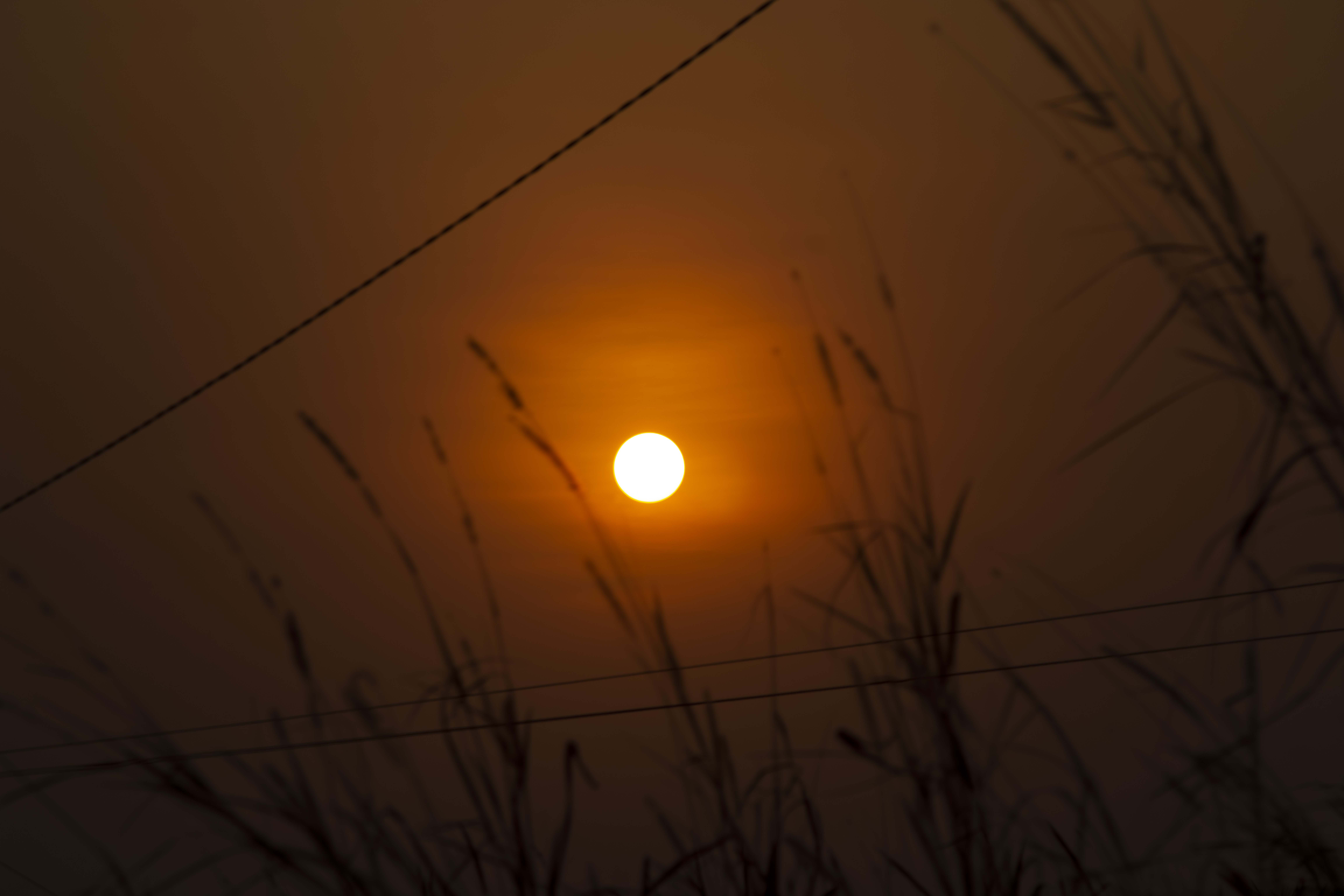 Silhouettes de trees hiding le coucher de soleil Cameroun 01
