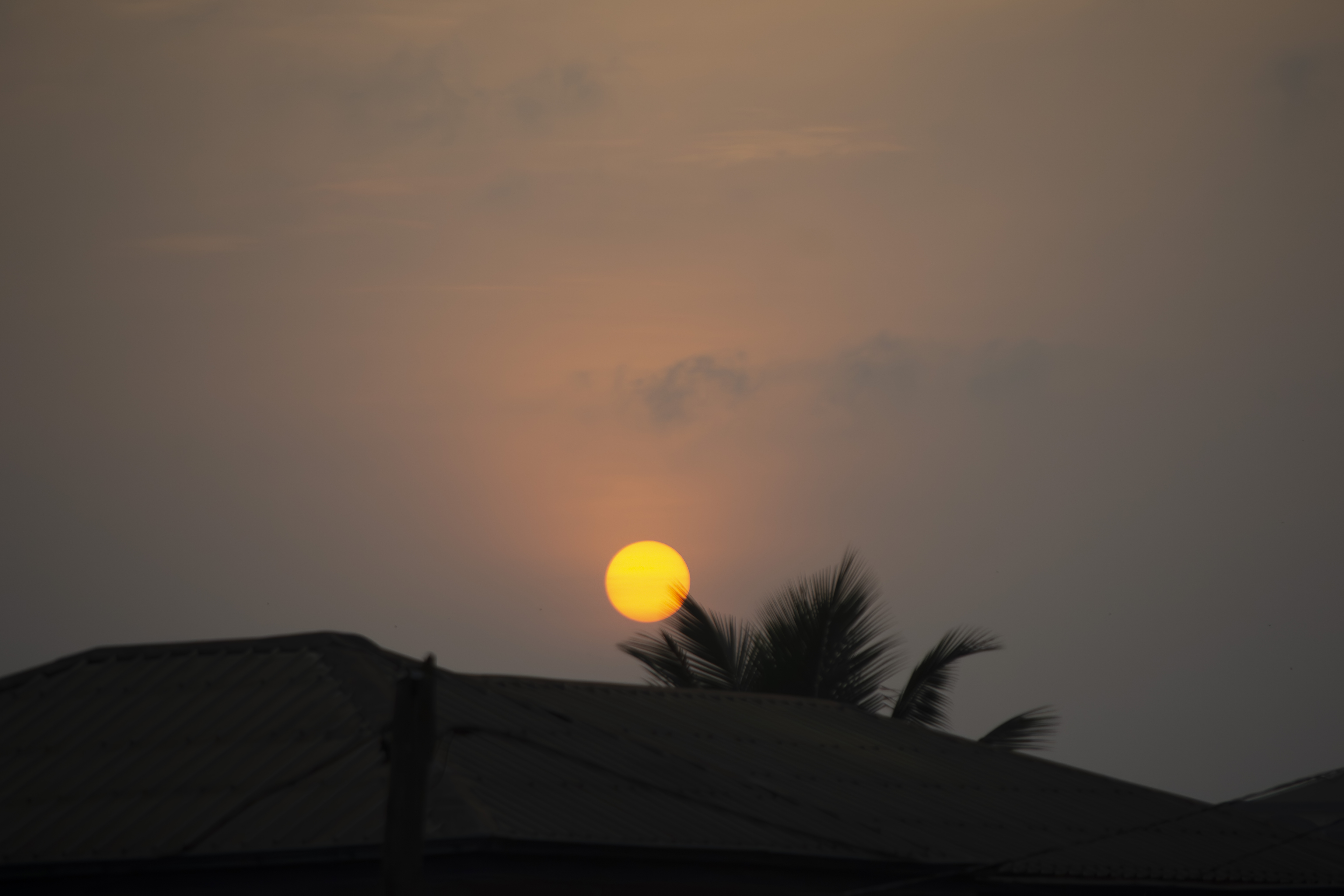 Silhouettes de trees hiding le coucher de soleil Cameroun