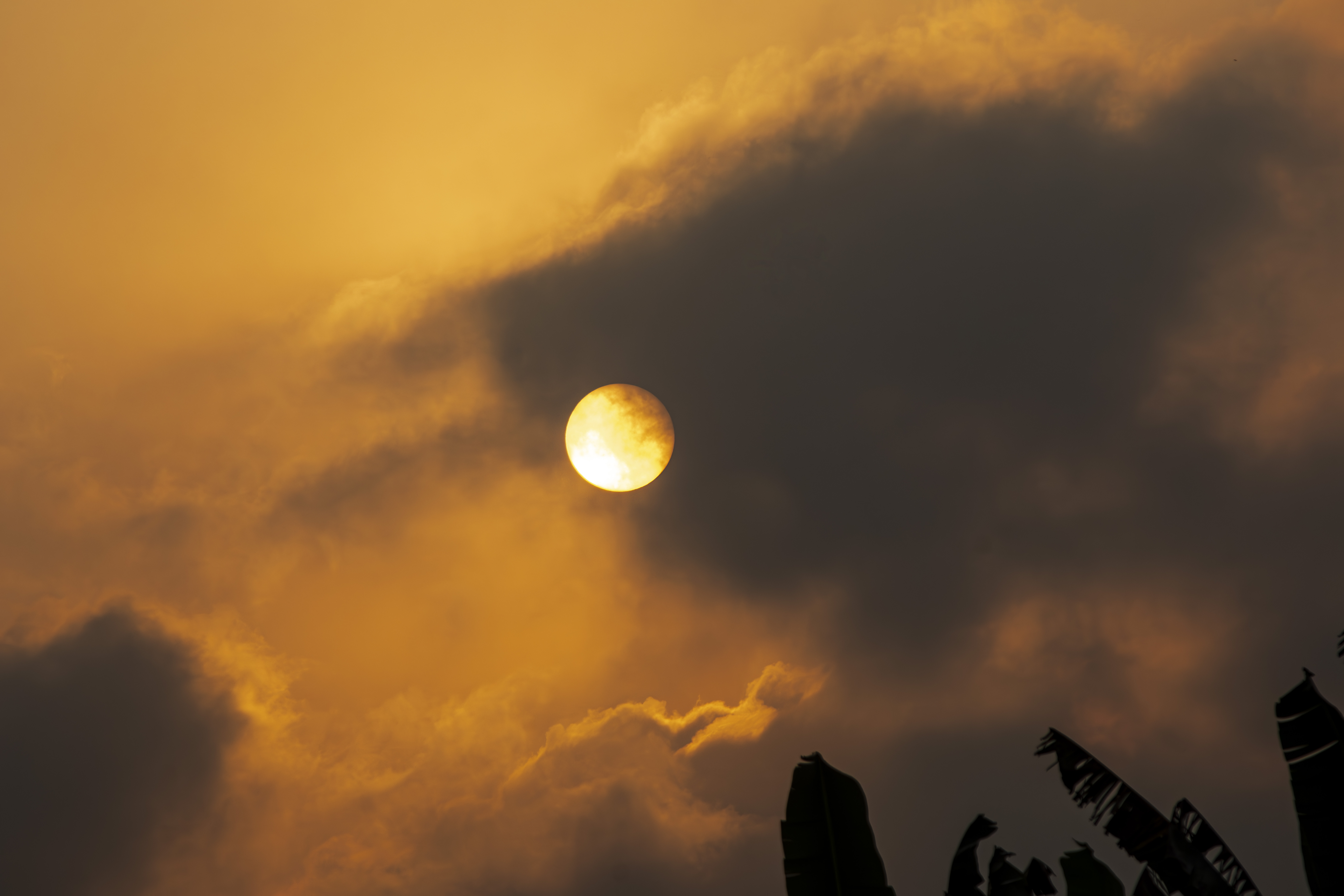 Coucher de soleil à le ciel