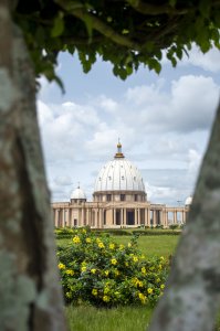 Troncs d'arbres devant le Basilique de Notre-Dame de la Paix à Yamoussoukro