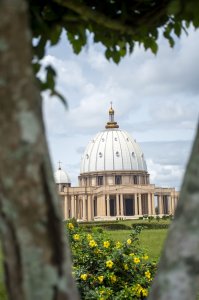 Troncs d'arbres devant le Basilique de Notre-Dame de la Paix