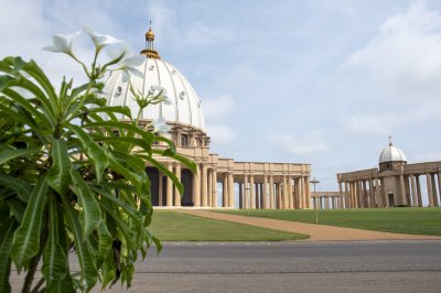 Fleurs blanches devant le Basilique de Notre-Dame de la Paix à Yamoussoukro