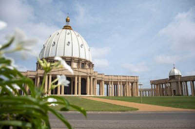 Fleurs blanches devant le Basilique de Notre-Dame de la Paix
