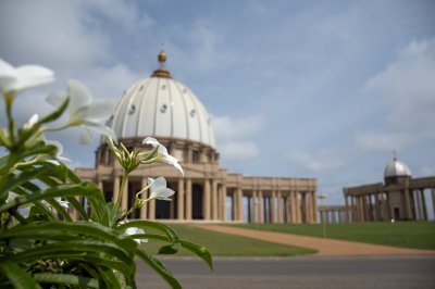 Fleurs blanches devant le Basilique de our lady