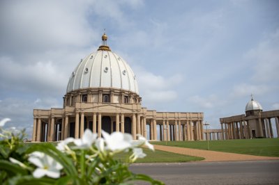 Fleurs blanches devant le Basilique