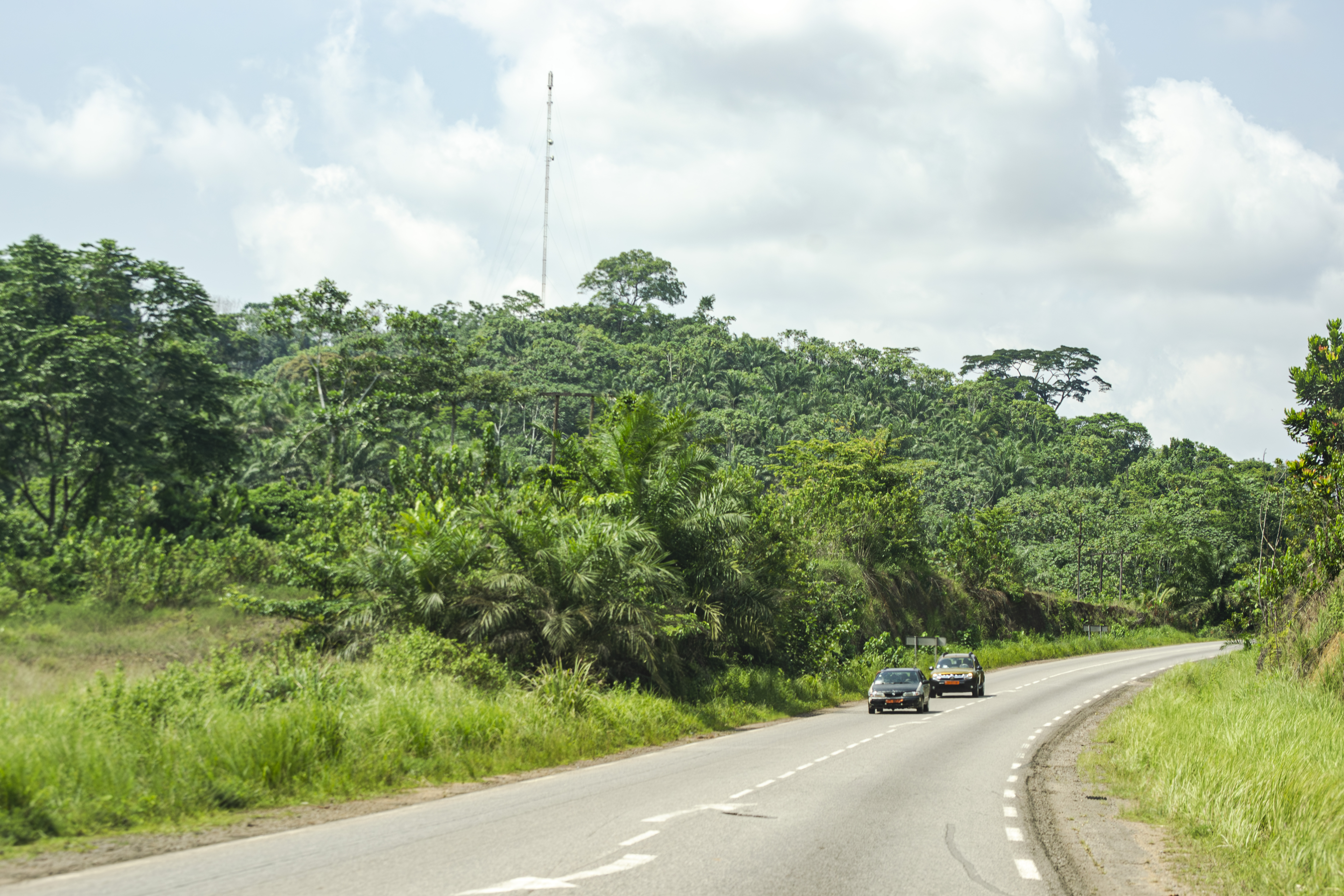 Yaounde - douala route nationale before un virage, le road is bordée de hautes herbes, Cameroun