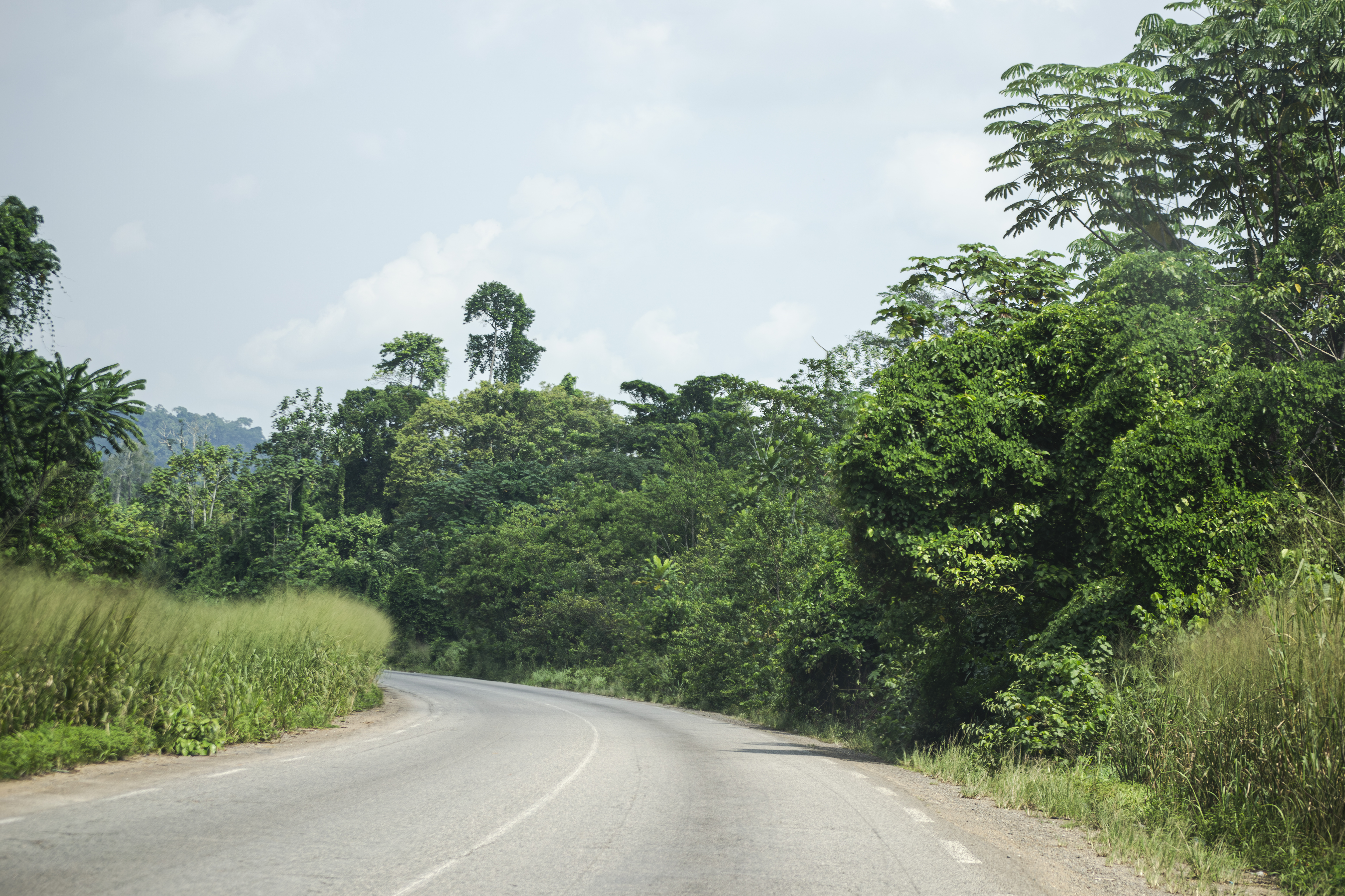 Yaounde - douala route nationale bordée de hautes herbes