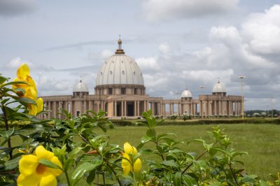 Fleurs jaunes devant le Basilique